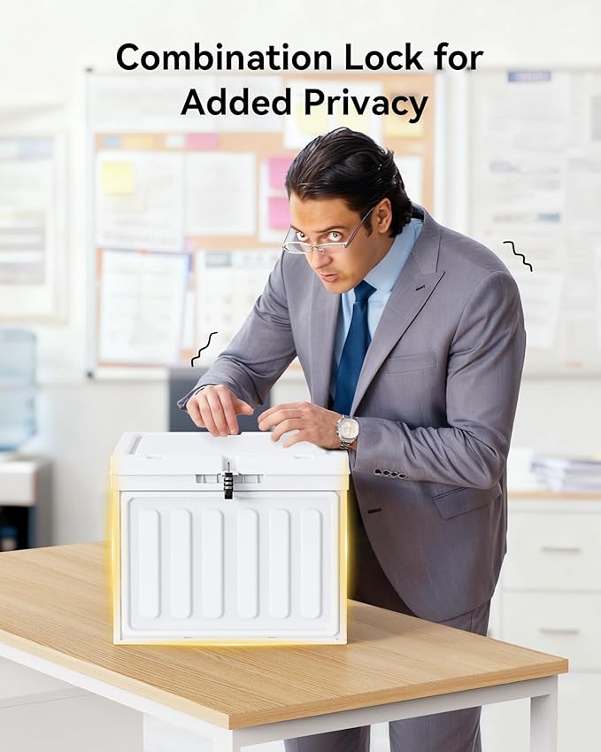 Oterri Plastic File Box with Lid for Letter Size File Folders, Hanging File Folder Box Collapsible File Organizer, File Cabinet Document Organization Home, Office (White, Large-2 Pack Without Folders)