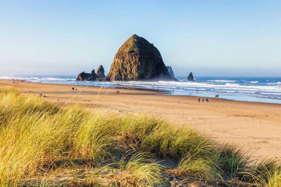 Best Places to Visit in Oregon for Nature Lovers and Road Trips