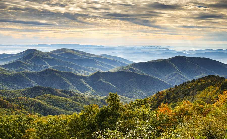 Best Places to Visit in Georgia for Families and Food Lovers