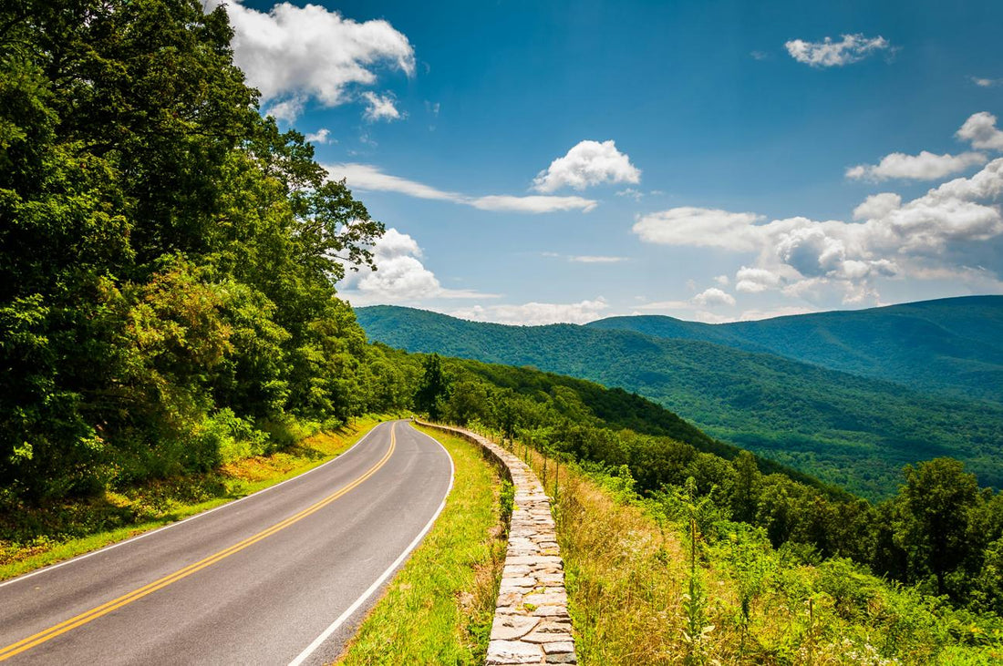 Best Family Road Trips Under 5 Hours