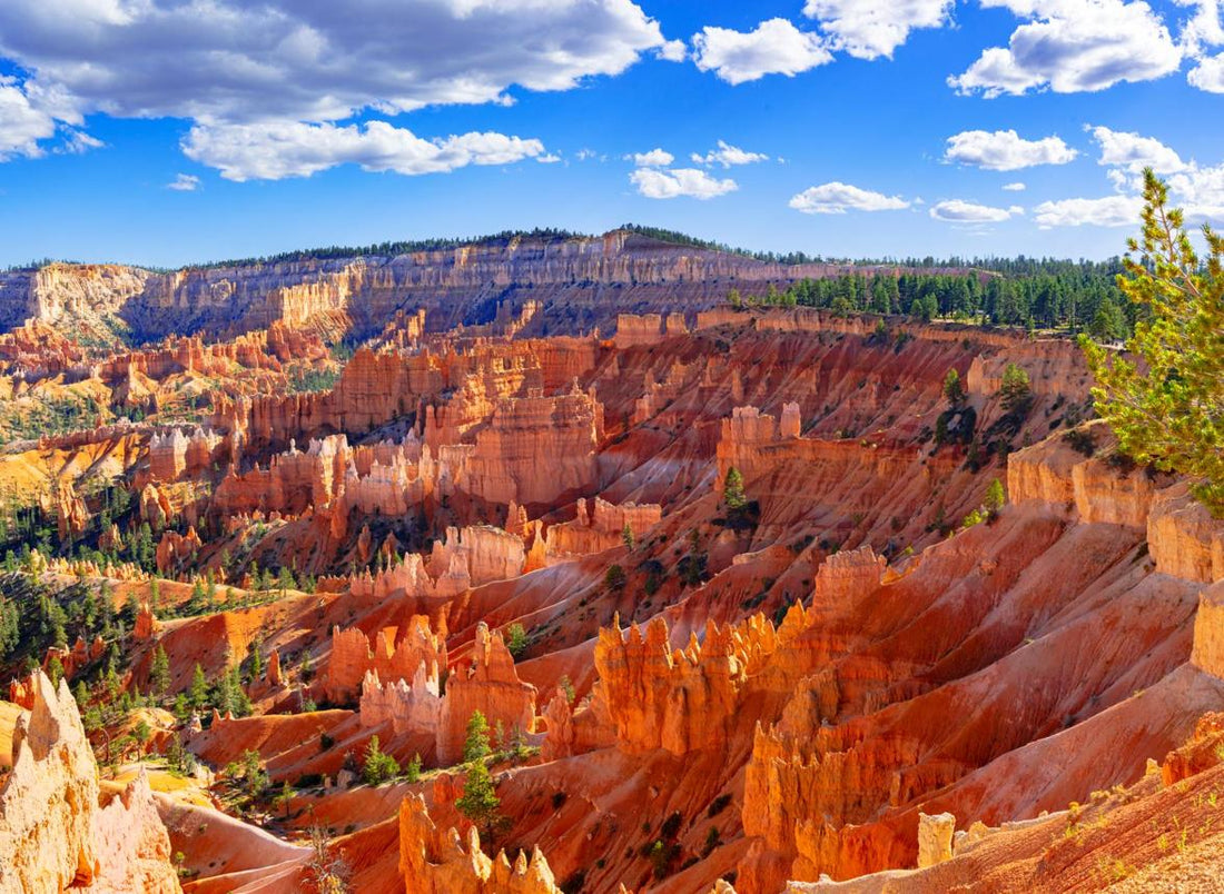 Best Places to Visit in Utah for National Park Adventures