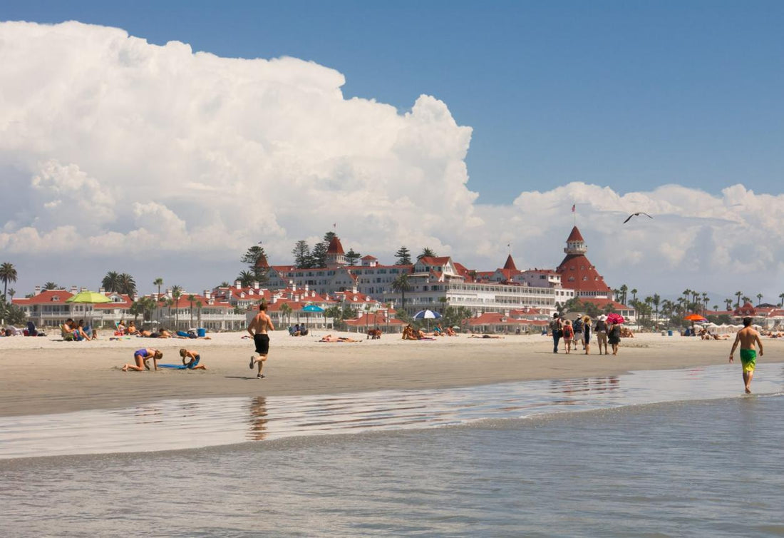 Best Beaches in California You Need to Visit