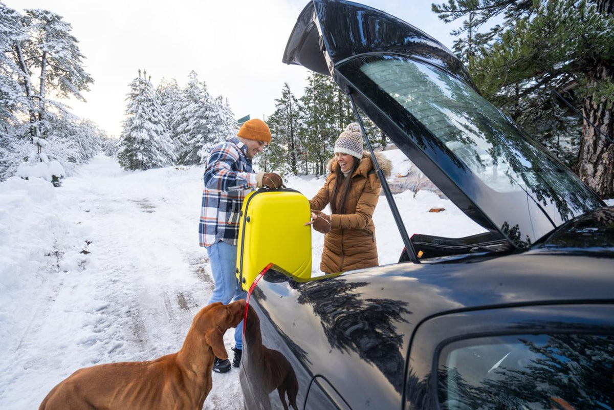 Winter Road Trip Packing List: 15 Essentials for Cold-Weather Travel 🚗❄️