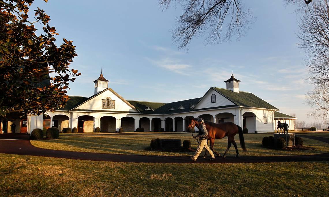 Best Places to Visit in Kentucky for Bourbon, Horses, and Natural Wonders