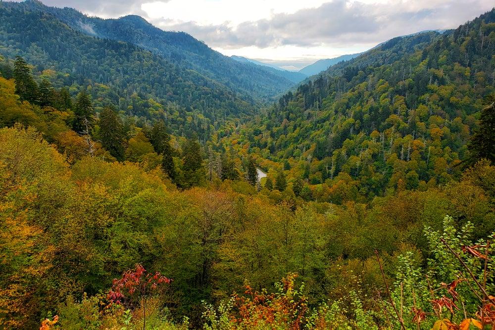 Best Places to Visit in Tennessee for Music, Mountains, and Family Vacations 🎸🏔️