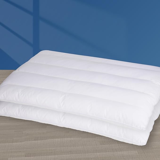 MINUPWELL 2 Packs Ultra Flat Pillows for Sleeping Thin, 7D High Support 2.5 inch Height Ultra Thin Pillows,Slim Bed Pillows for Stomach Sleeper,Standard Size -18x26 in