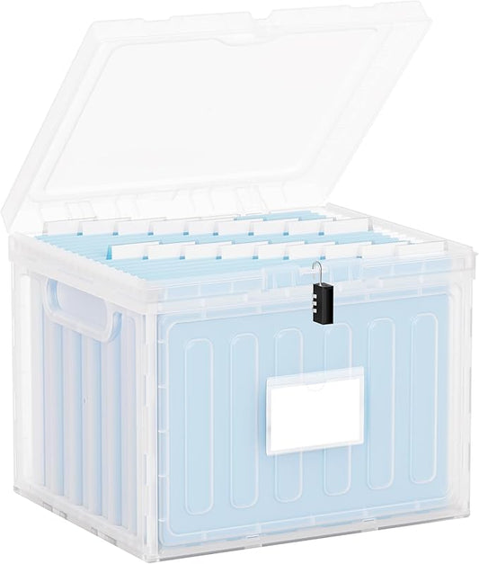 Oterri Plastic File Box with Lid for Letter Size File Folders, Hanging File Folder Box, File Organizer for File Cabinet, Home, Office,School(Clear, Large-1 Pack Without Folders)