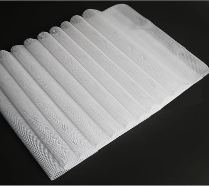 Mesh Silicone Dehydrator Sheets, 10x11 in 10 Pcs/Sets for Food Dehydrator & Freeze Dryer (10x11 INCH Mesh Silicone Dehtdrator Sheet)