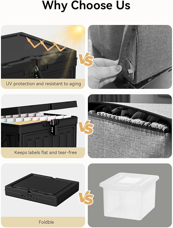 Oterri Plastic File Box with Lid for Letter Size File Folders, Hanging File Folder Box, File Organizer for File Cabinet, Home, Office,School(Black, Large1 Pack Without Folders)