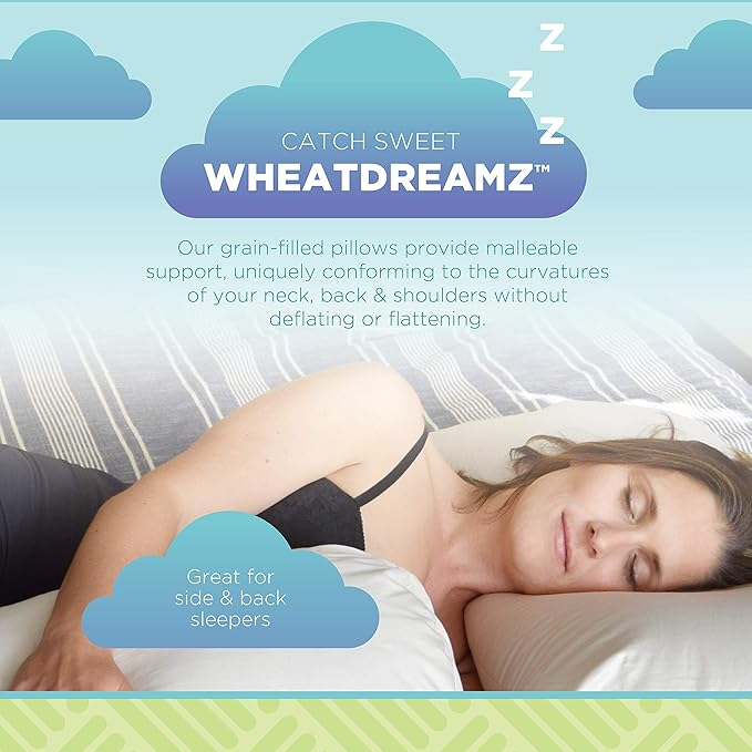 Bean Products 20" x 26" Standard Bed Pillow for Sleeping – Organic Millet Fill with Organic Cotton Fabric, Soft Head Pillow – Eco-Friendly, Breathable, and Durable Sleep Aid, Made in The USA