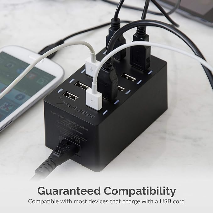 Sabrent 60 Watt (12 Amp) 10-Port [UL Certified] Family-Sized Desktop USB Rapid Charger. Smart USB Ports with Auto Detect Technology [Black] (AX-TPCS)