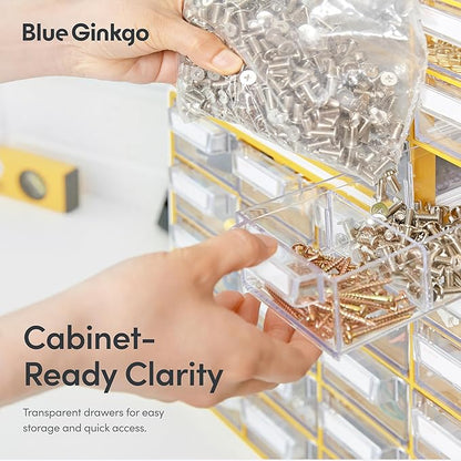 Blue Ginkgo Small 20-Drawer Cabinet – Stackable Clear Organizer for Hardware, Beads, Plastic Bricks, Office, and Craft Storage (Made in Korea, Blue)
