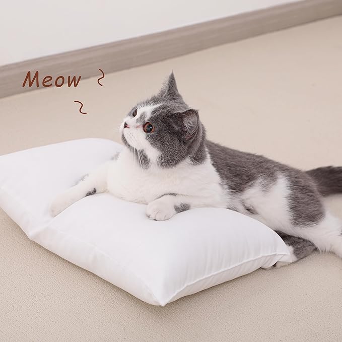 NTBAY Toddler Pillows, Down Alternative 13"x18" Pillows, Machine Washable - Soft and Breathable Travel Small Pillows for Sleeping, Ideal for Daycare, Crib, Cot, White