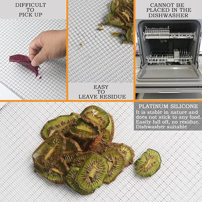 Mesh Silicone Dehydrator Sheets, 10x11 in 10 Pcs/Sets for Food Dehydrator & Freeze Dryer (10x11 INCH Mesh Silicone Dehtdrator Sheet)