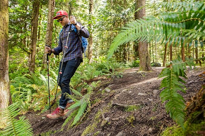 Cascade Mountain Tech Trekking Poles - Carbon Fiber Walking or Hiking Sticks with Quick Adjustable Locks